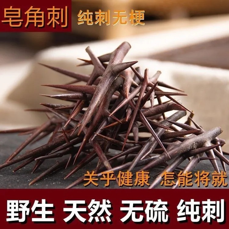 皂刺 皂角刺 皂荚刺 天丁 皂荚米