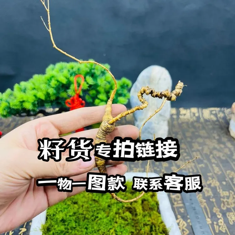 长白山林下自然播籽货食用煲汤泡酒50g100g花以直播间描述为主