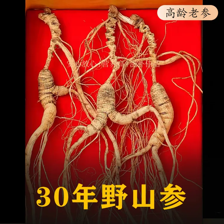 林下参30年野山参25年野人参长白山生老山参泡酒礼盒籽货自用送人