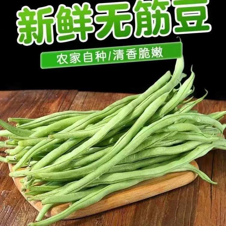 【无筋豆泡沫箱】架豆王农家自种现摘现发四季豆青扁豇豆新鲜