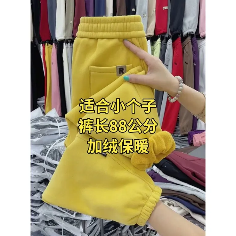 小个子加绒厚款女九分显瘦休闲裤洋气束脚高腰哈伦裤2024韩版纯色