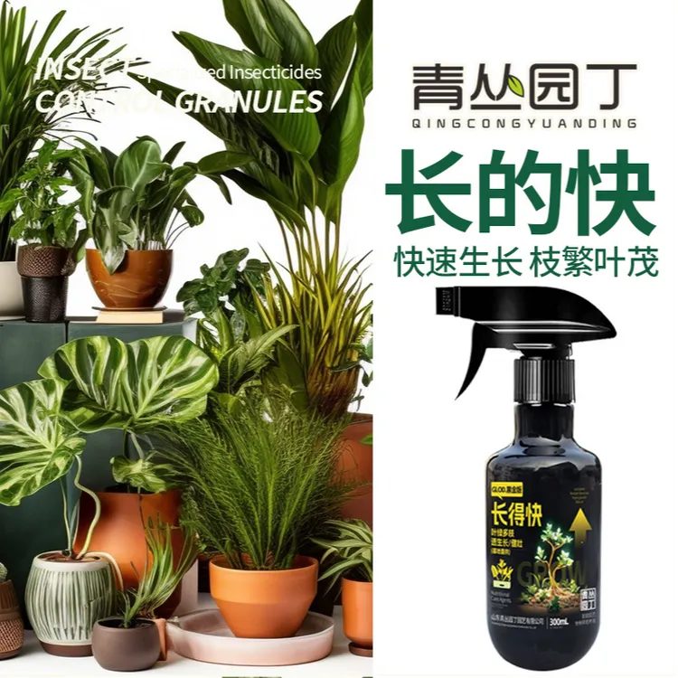 青丛园丁长得快黑金版快速生长枝繁叶茂叶片油亮一喷即施植物通用