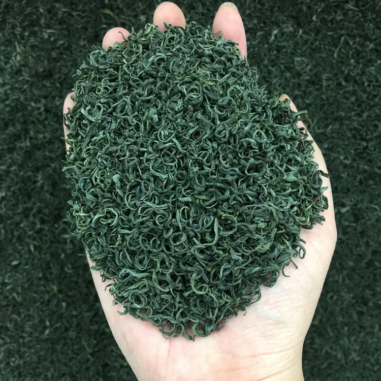 2025年新茶高山绿茶芯 浓香型日照云雾茶 狗牯脑茶叶散装袋装
