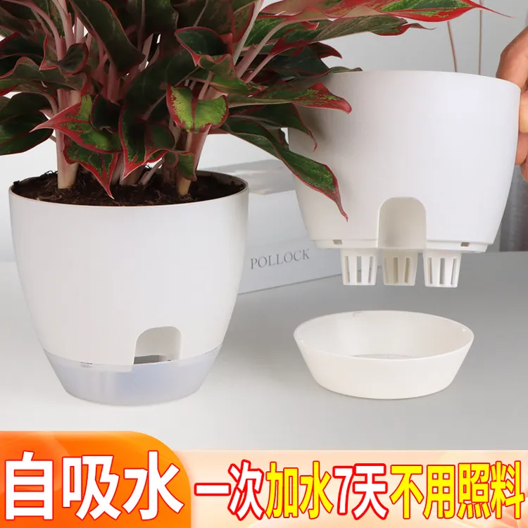客厅自吸水花盆加厚树脂阳台油画吊兰绿萝盆栽半透明简约透气花盆