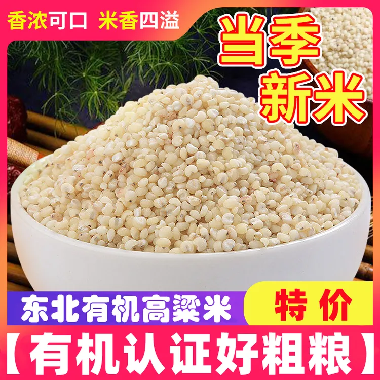【特价新米】有机高粱米东北特产白高梁米水饭五谷杂粮米辽宁黑山