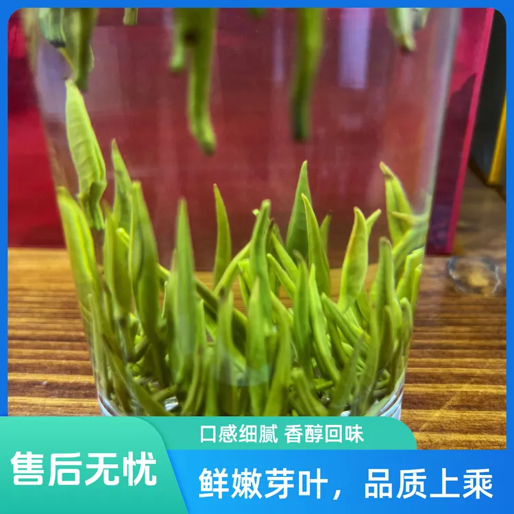 正宗踏雪兰妃2025头采浓香型