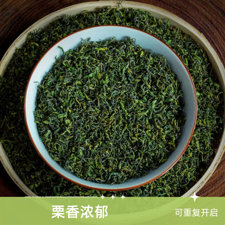 商务招待款日照绿茶新茶沙口板栗香茶香新鲜原生态冲泡精选品质