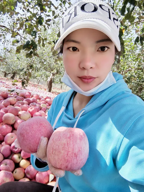 果乡慧慧家红富士苹果，果农产地直发脆甜多汁新鲜自然果香