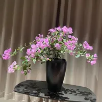 银边浅紫（水仙紫）·三角梅