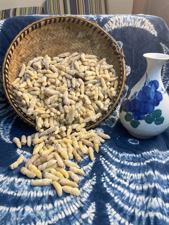 云南本地黄土夹二级马蜂蛹 500g发货