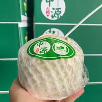 【第1/2柜 中通 冰箱冷藏保鲜】泰国进口椰青