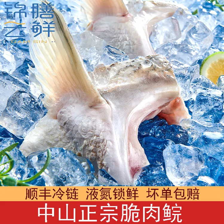 中山正宗吊水肉鲩鱼下巴活鱼现切液氮脆肉鲩锁鲜中山脆皖鱼新鲜