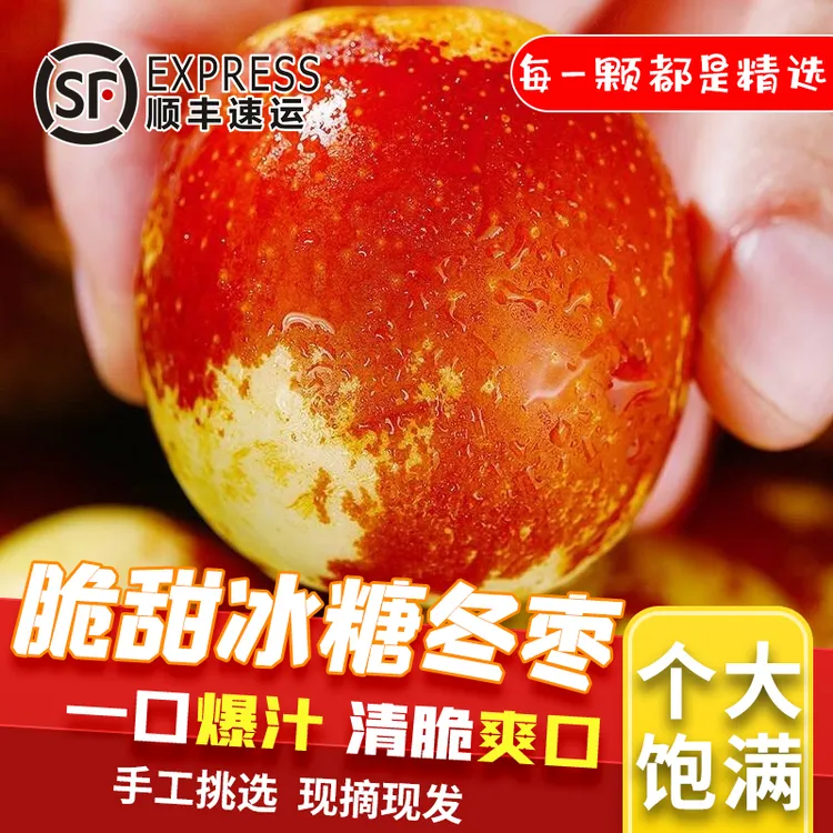 【顺丰包邮】正宗庙上冬枣孕妇水果新鲜当季脆甜现摘大红枣子2-5斤