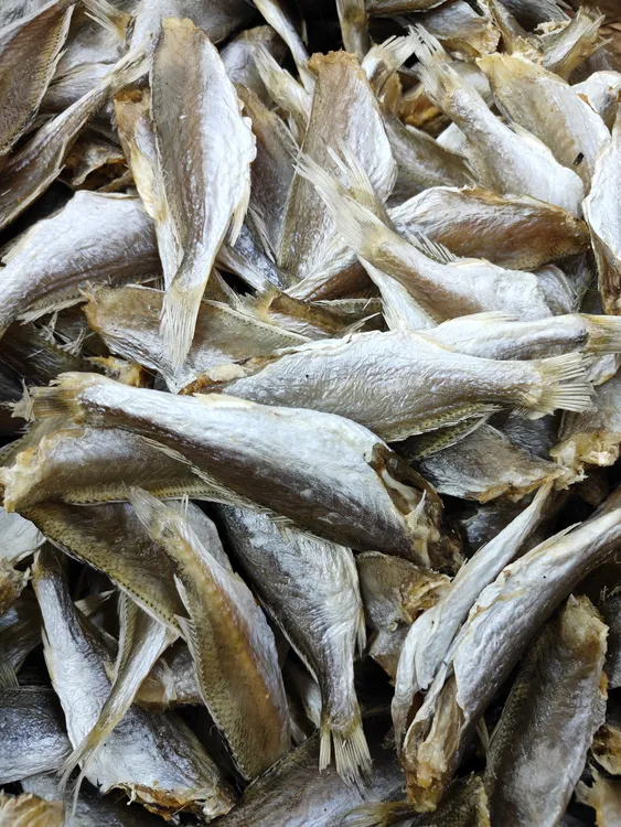 【咸或鱼】广东汕尾港去头白花或白花划鱼脯石头鱼划仔鱼干