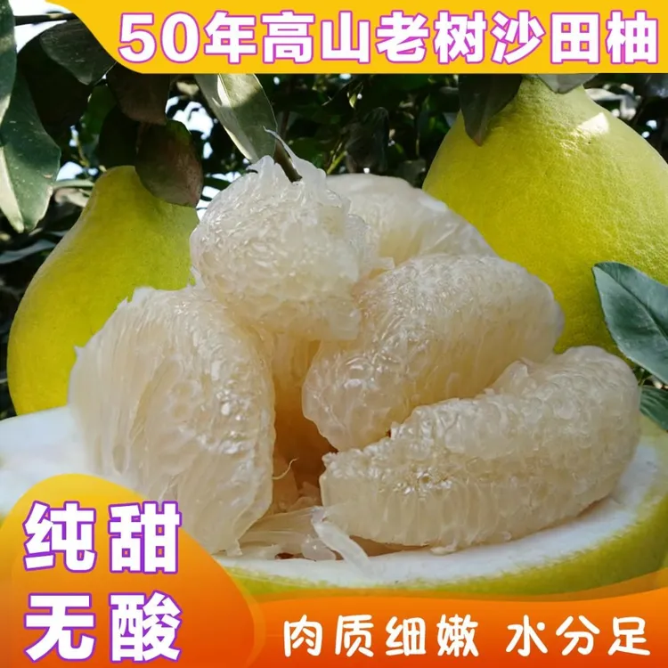 产地直发 正宗江永沙田柚高山老树柚50年树龄纯甜无酸