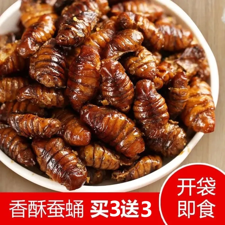 山东淄博即食香酥蚕蛹水煮油炸麻辣蚕蛹蚕蛹开袋即食香酥零食蜂蛹