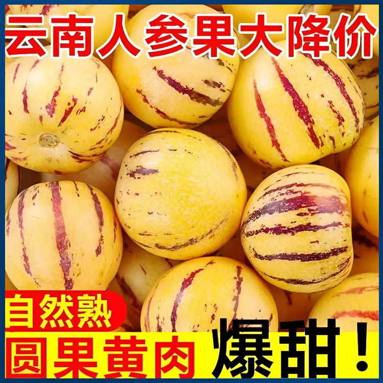 云南人参果黄肉人心果圆果当季新鲜水果人生果石林特产人参果包赔