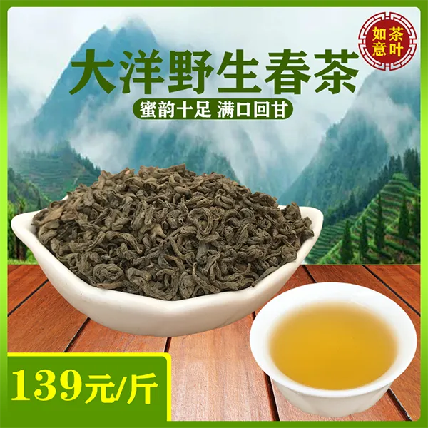 大洋炒茶2025明前野生头采春茶正宗揭阳揭西高山炒茶蜜香十足绿茶