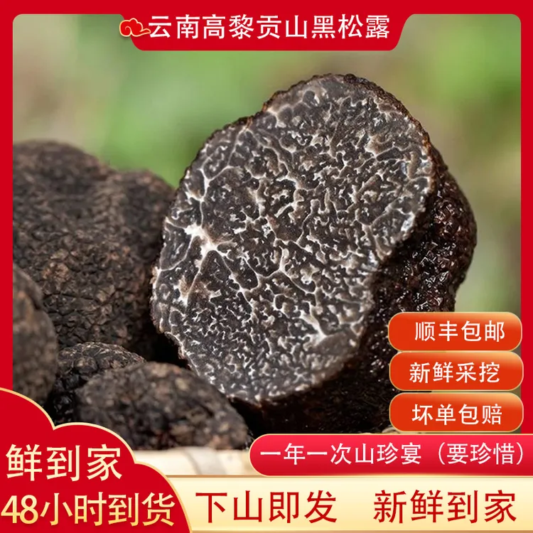 新鲜黑松露云南高黎贡山猪拱菌法国块菌原产地营养煲汤食材100g