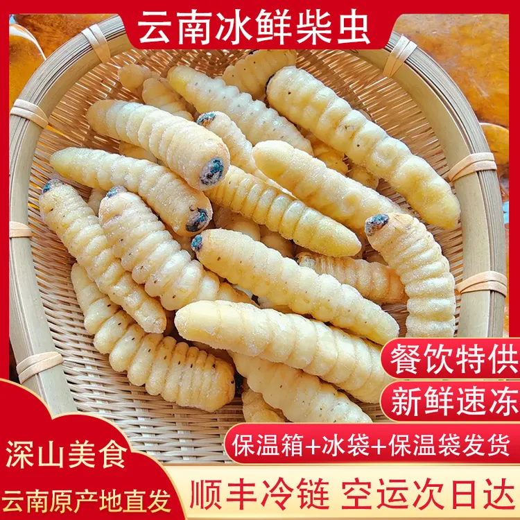 鲜活冰冻哈虫柴虫斗米虫木花云南特产食用昆虫美味深山食材250g