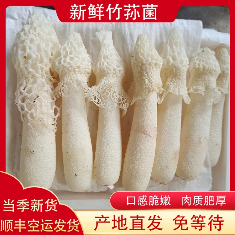 【顺丰包邮】新鲜野生竹荪菌食用菌新鲜竹花食用蘑菇农产品鲜甜现采