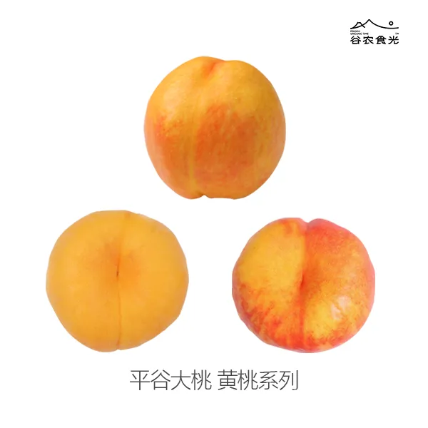谷农食光【平谷黄桃系列】单果半斤以上果王 限量礼盒装九枚