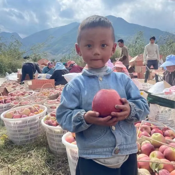 2024正宗四川大凉山丑苹果产地现摘现发脆甜多汁水果