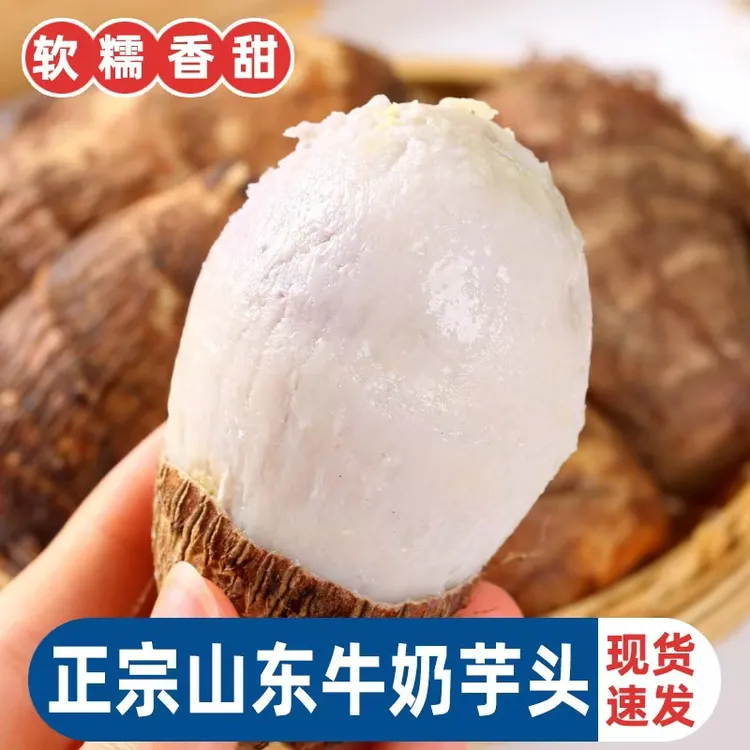 【软糯】山东新鲜小芋头鲜货现挖香糯毛芋头牛奶芋头芋艿香芋软糯