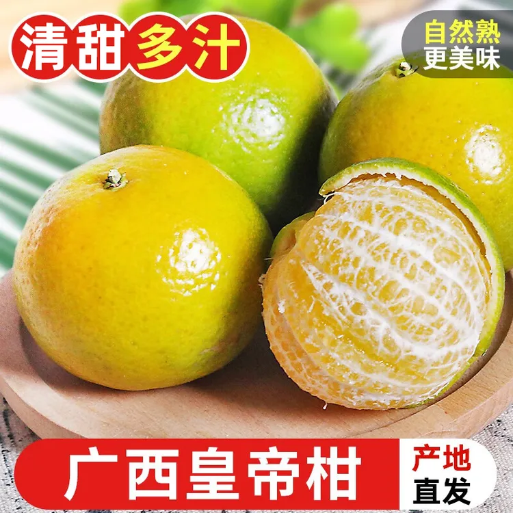 广西武鸣皇帝柑5斤/8斤当季新鲜应季水果贡柑黄帝柑橘清甜多汁