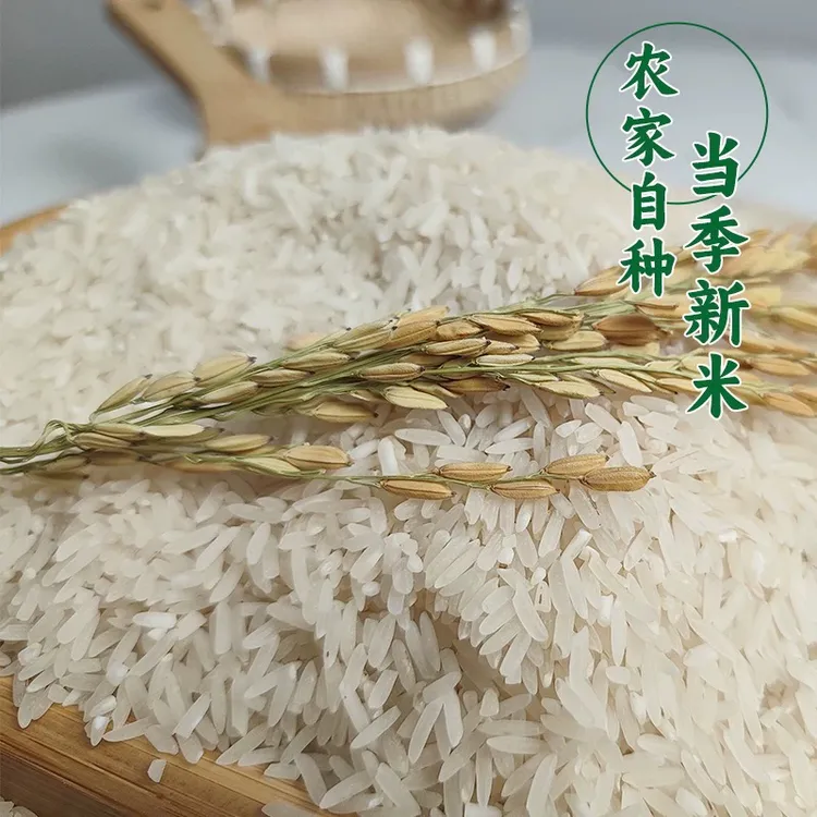 广元王家贡米散装新米