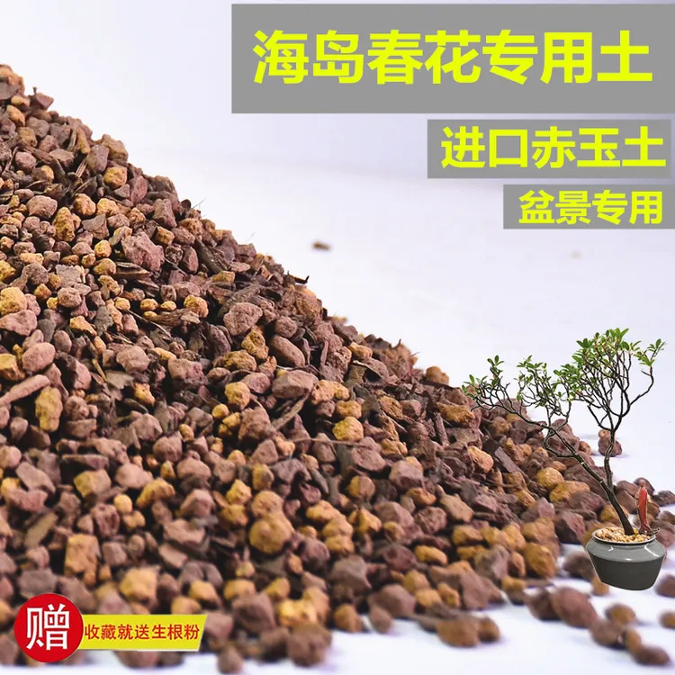 海岛春花专用土赤玉土风化土盆景土营养土酸土专用肥有机缓释玉肥