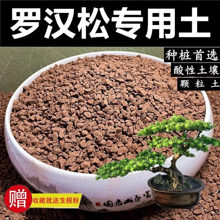 罗汉松专用土风化土风化石盆景土混合颗粒土营养土红土酸土碱性