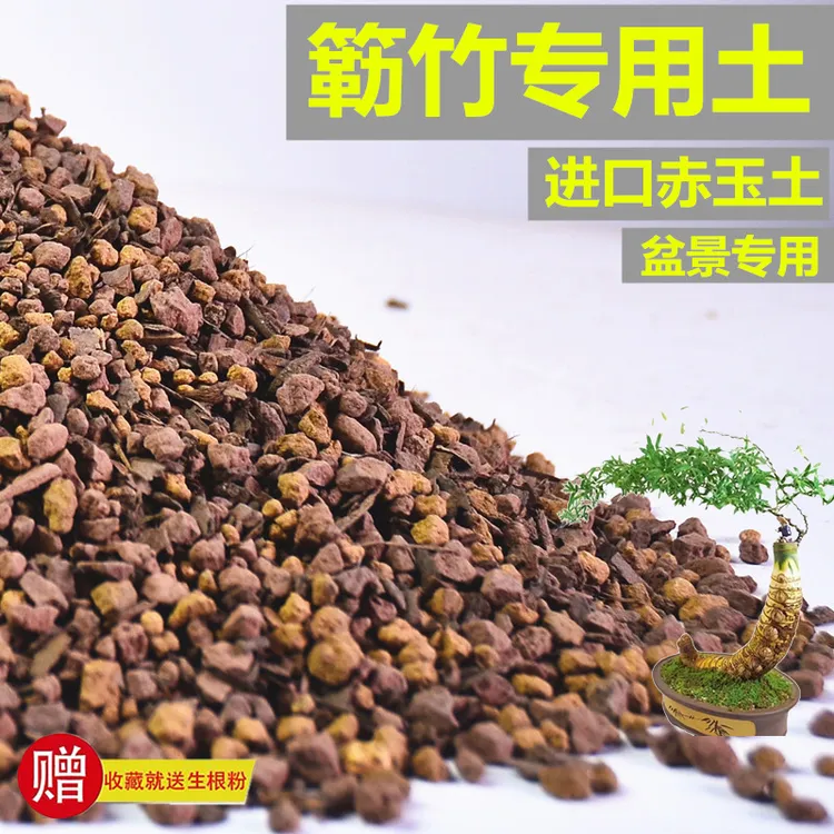 小叶簕竹专用土赤玉土风化土盆景土营养土酸土专用肥有机缓释玉肥