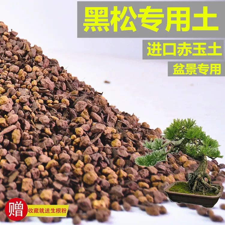黑松专用土赤玉土风化土盆景土营养土酸性土专用肥有机缓释玉肥