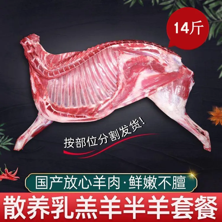 正宗甘肃祁连藏系羊羔肉新鲜现杀全羊肉精细化分割清真散养走地羊