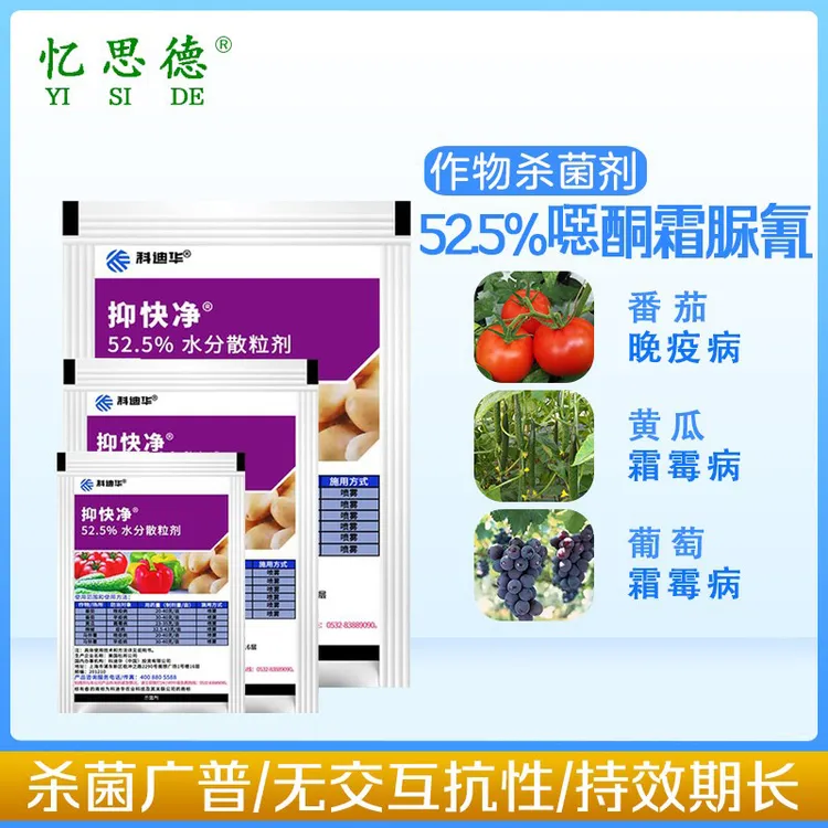 抑快净噁酮霜脲氰番茄辣椒霜霉早晚疫病辣椒黄瓜农药杀菌剂进口