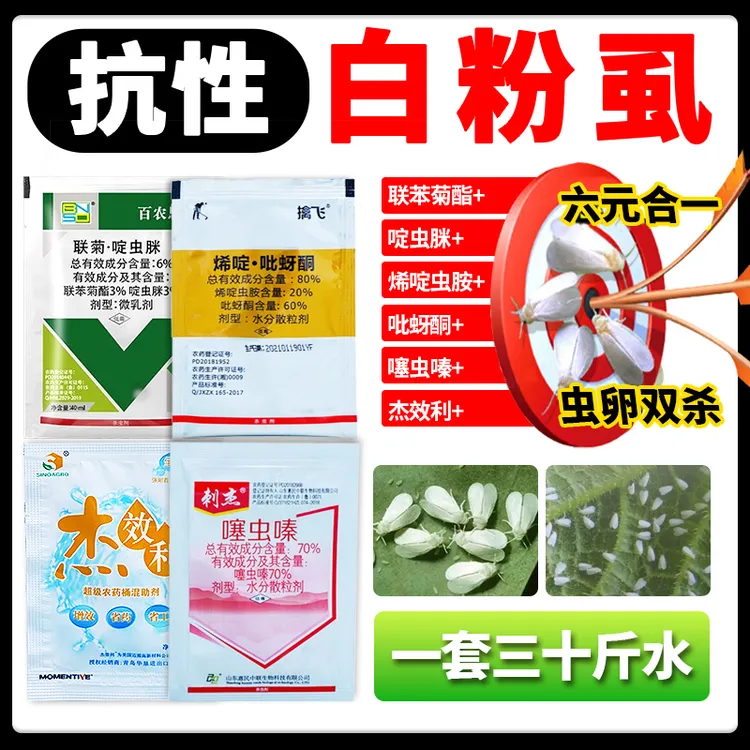 白粉虱特效药啶虫脒烯啶虫胺吡蚜酮噻虫嗪组合杀虫虫卵双杀杀虫剂