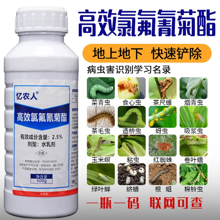 高效氯氟氰菊酯2.5%蝼蛄金针虫地老虎土蚕地下害虫全杀农药杀虫剂