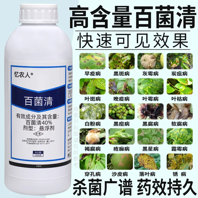 百菌清果树蔬菜花卉杀菌剂锈病炭疽病白粉叶斑霜霉病菌农药