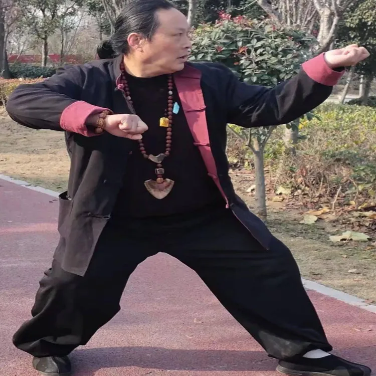 大成拳秘传零力桩！好处非常多22