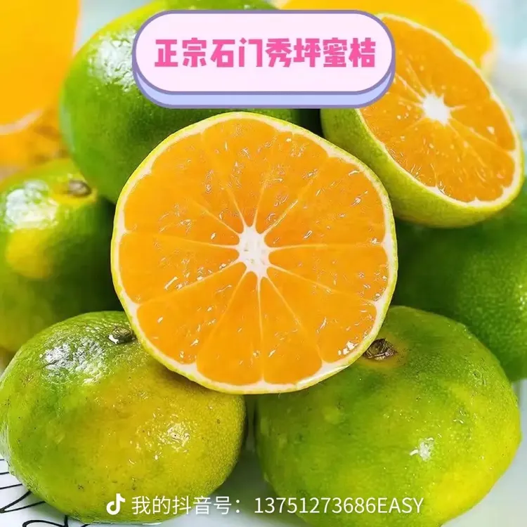 湖南石门秀坪老树蜜桔24个酸甜可口皮薄无籽送礼精品柑橘