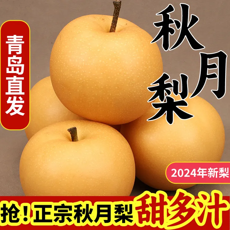 正宗山东莱阳莱西纯正秋月梨现摘现发大果果王水果当季热卖顺丰发