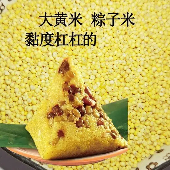 东北农家新鲜香糯新大黄米黏黄米粘糯小米黍子新米包粽子粘豆