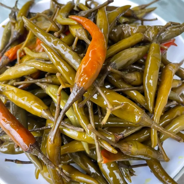 【张兵土特产】自己腌制的农村小米辣，下饭小菜，特别辣，