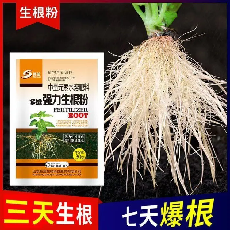 生根死苗烂根沤根植物通用果树菌立清微生物肥料果树专用肥料