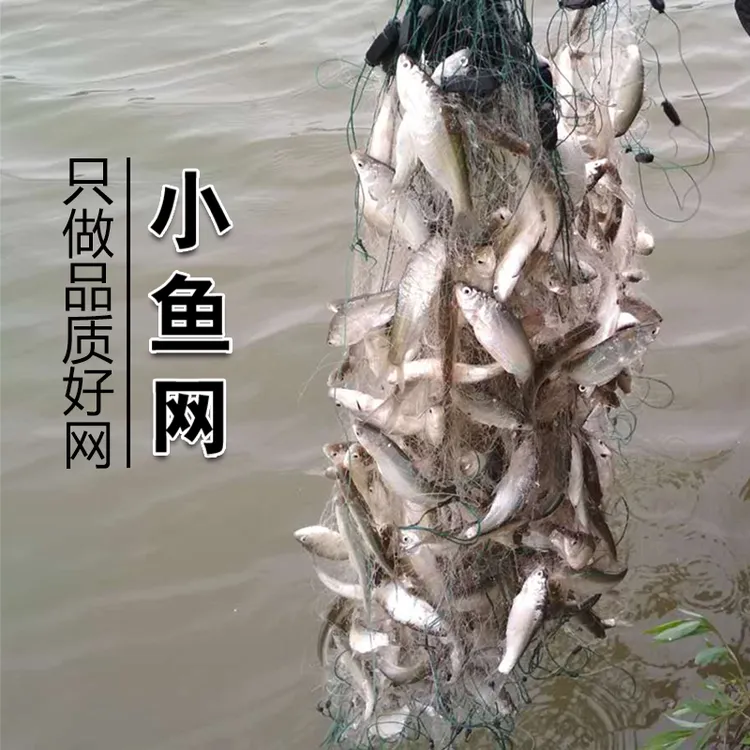 渔网粘网白条餐条专用小鱼网丝网三层单层沉网浮网捕鱼网半指1指