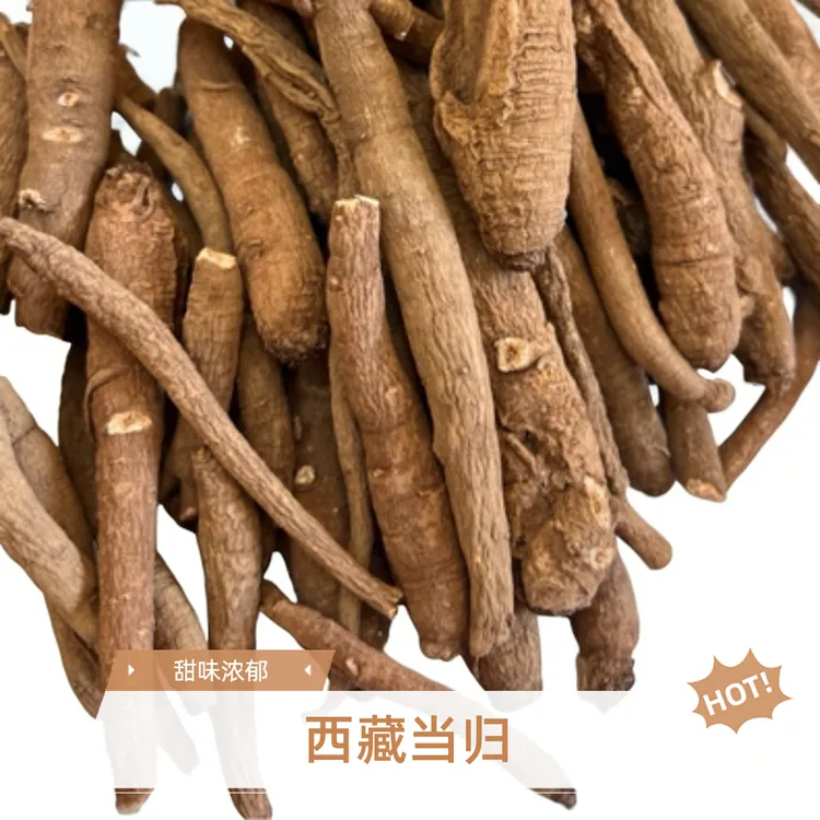 西藏山货甜当归高海拔