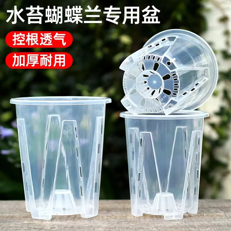 高透明青山控根盆绿植石斛水苔蝴蝶兰专用盆套盆兰花塑料花盆家用
