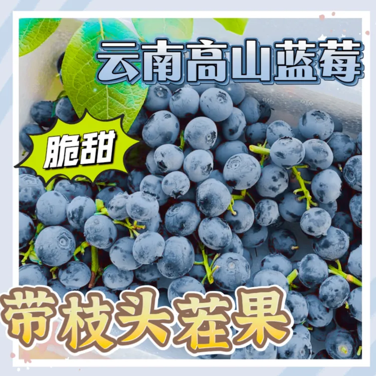 【整箱头茬带枝蓝莓】云南花香蓝莓新鲜特大蓝莓鲜果产地直发抚仙湖