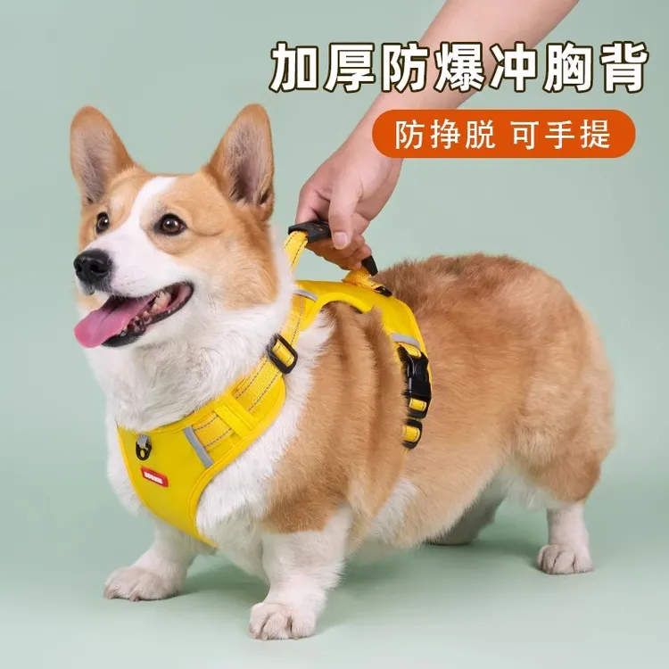 宠物狗狗可调节牵引绳柯基狗绳胸背带小型背心式狗链子遛狗中型犬